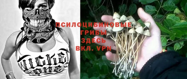 MDMA Premium VHQ Бородино